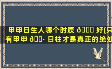甲申日生人哪个时辰 🐒 好(只有甲申 🌷 日柱才是真正的绝处逢生)